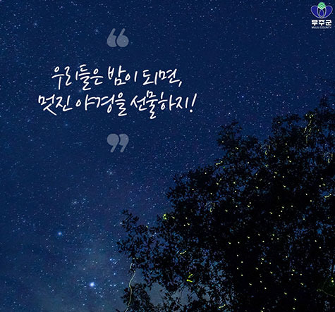 무주 반딧불이 축제
