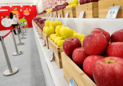 2024 문경사과축제