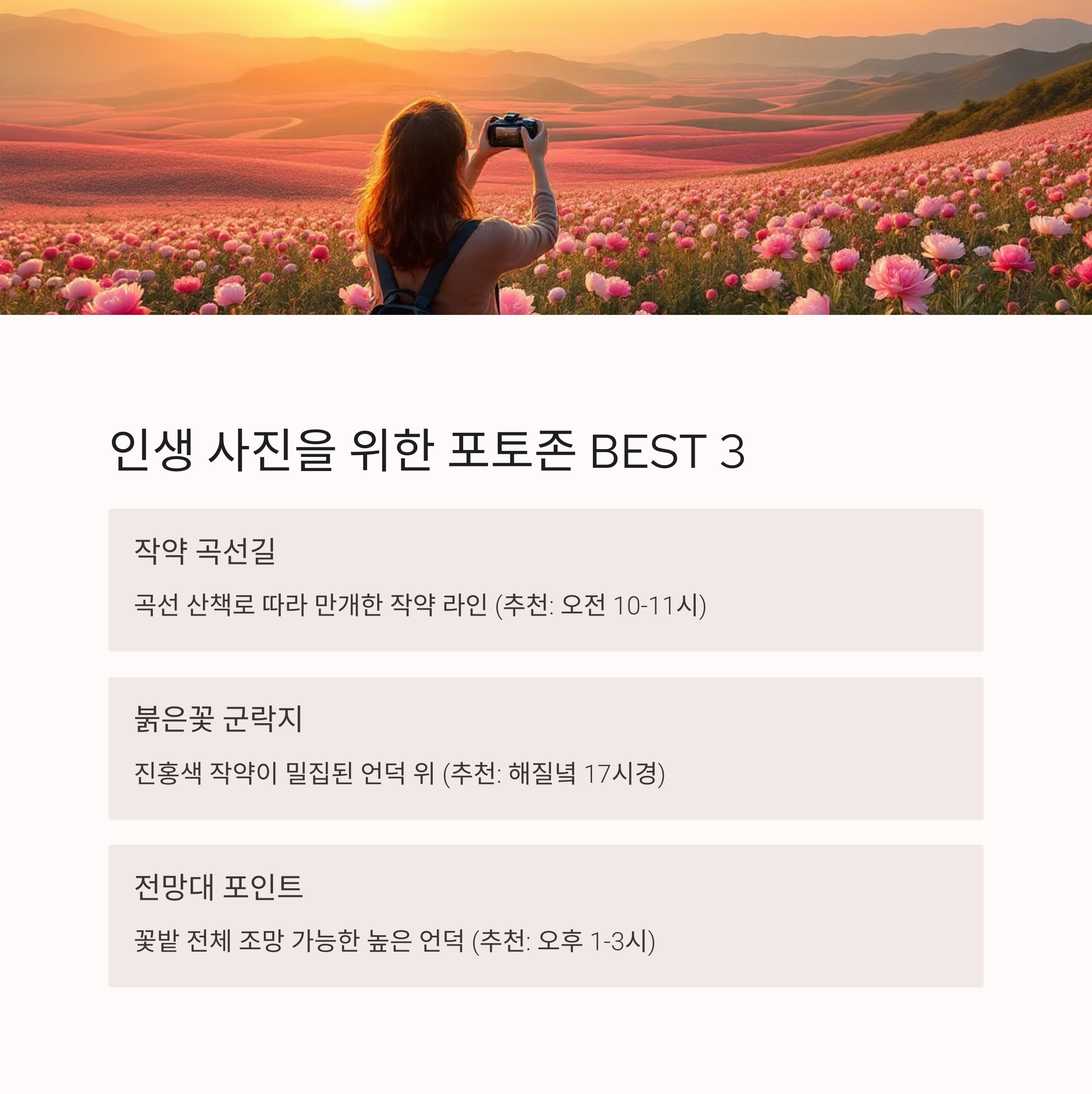전남 진도에서 펼쳐지는 작약꽃 향연, 5월의 감성 여행지
