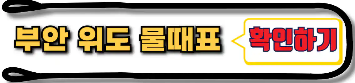 위도 물때