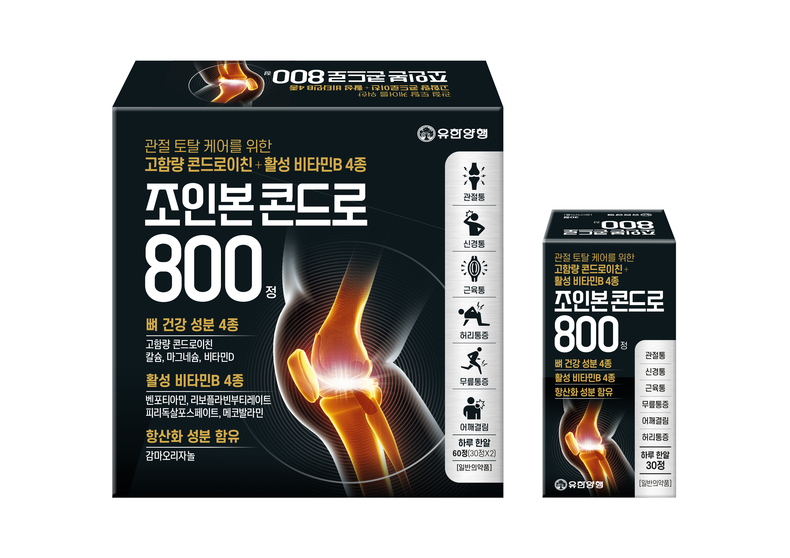콘드로이친