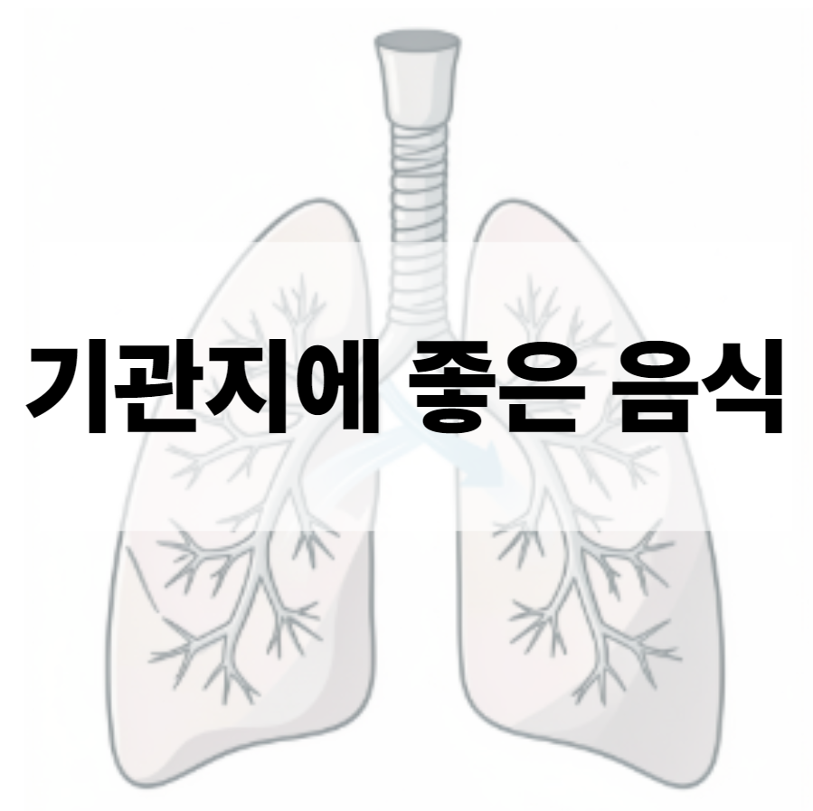 기관지에 좋은 음식