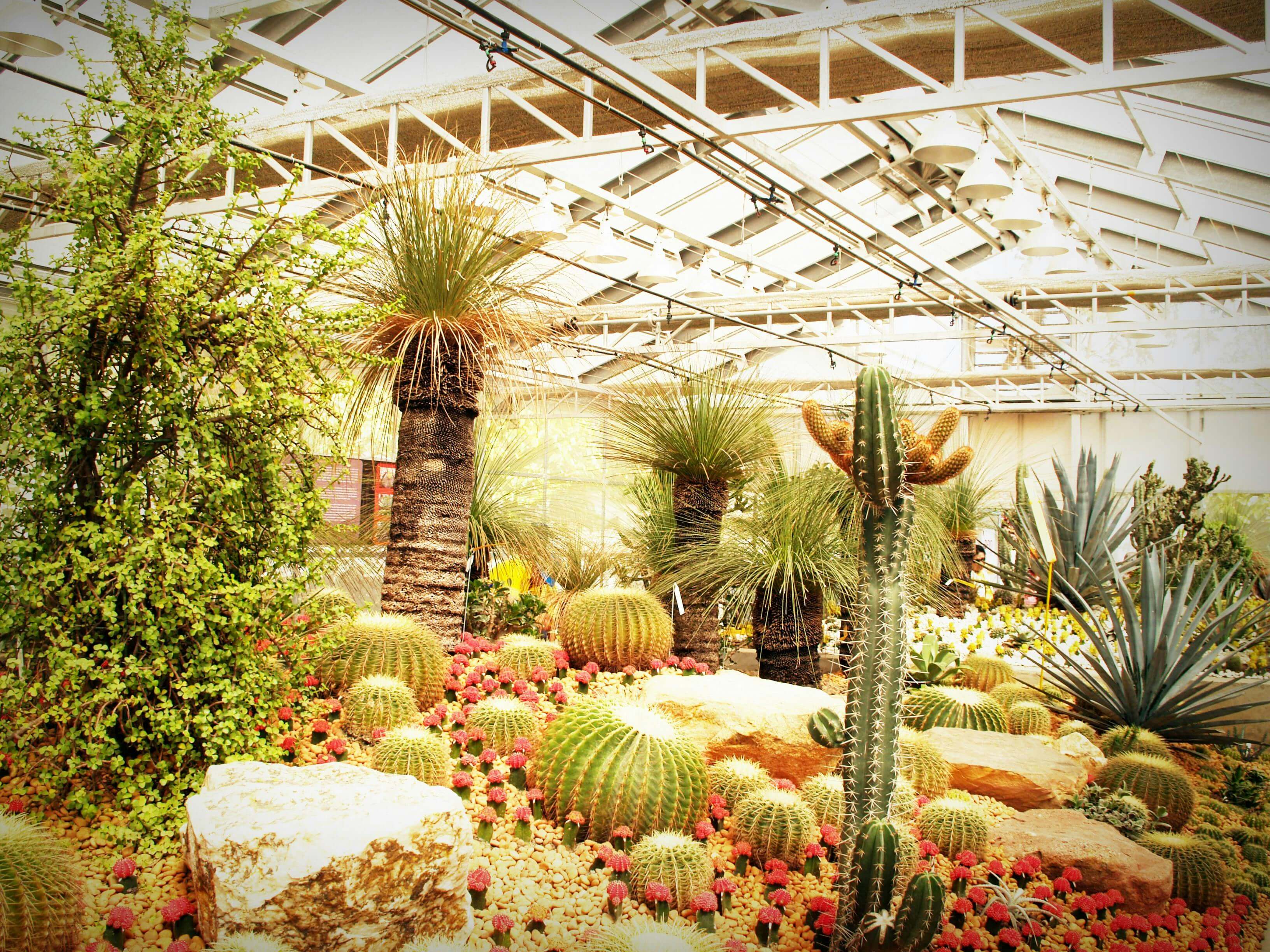 금선사 템플스테이 예약 방법 일정 총정리