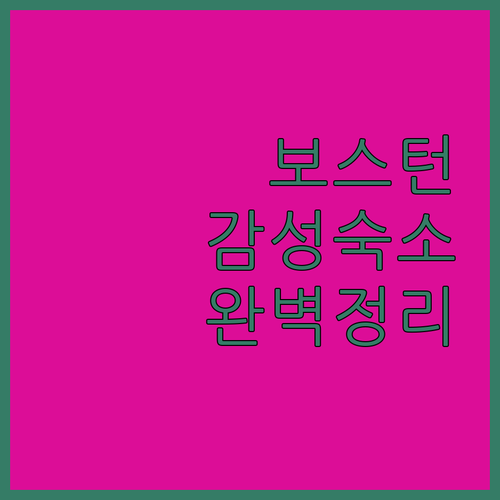 가성비부터 힙한 감성까지 보스턴 숙소..