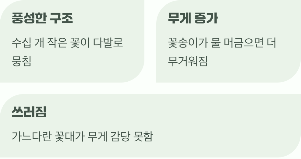 너무 무거운 왕관, 꽃의 무게