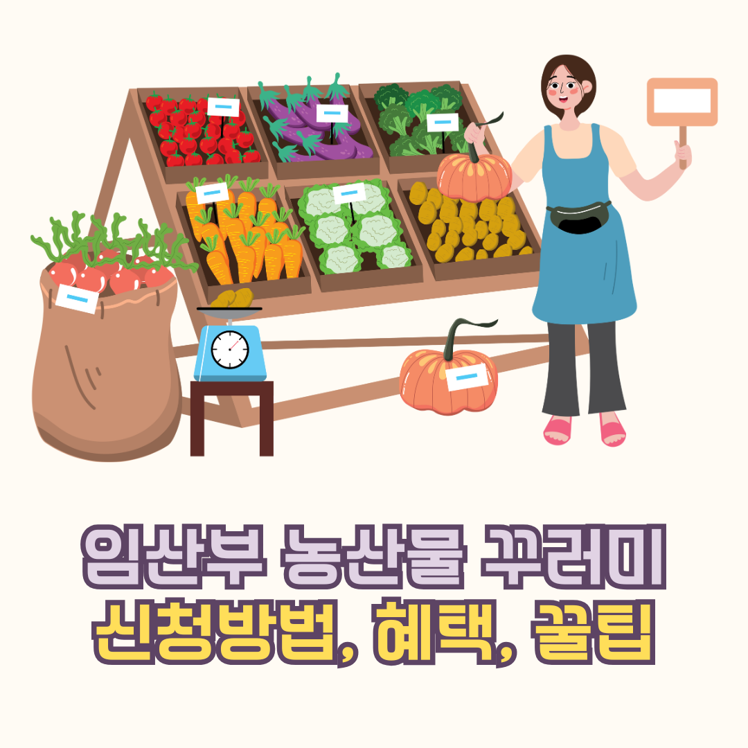서울 임산부 농산물 꾸러미 신청방법 혜택 꿀팁