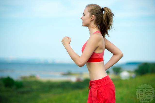 다이어트 요요 안오는법 요요원인