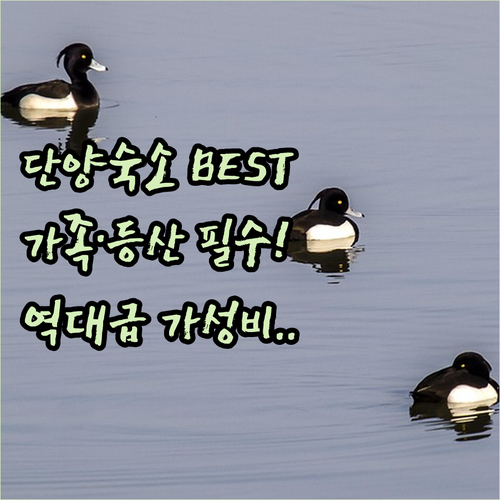 가족 여행부터 등산객까지 만족하는 단..