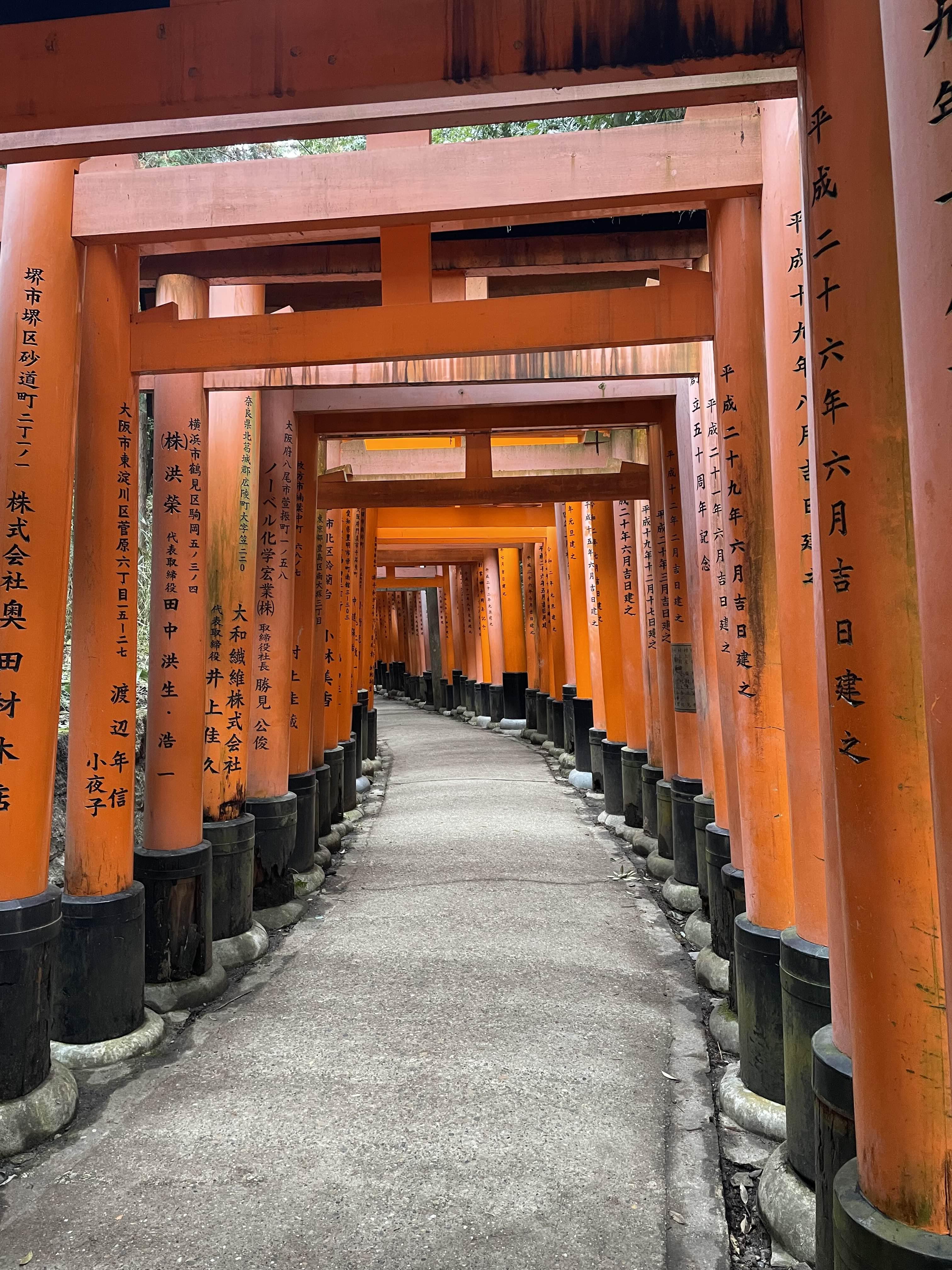 교토역 2박 3일 코스 3일차 후시미이나리 여우신사 도이리 길