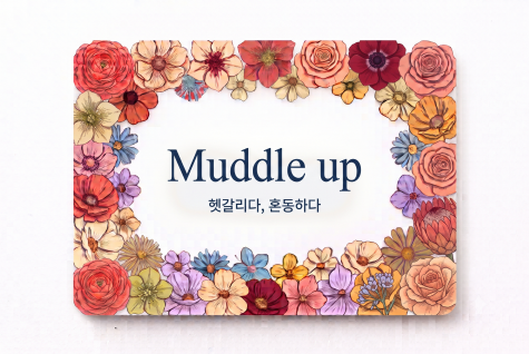 Muddle up 헷갈리다