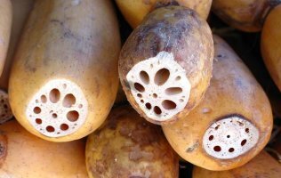 갱년기에 좋은 음식