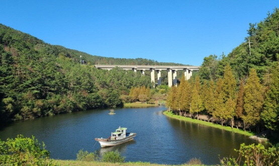 추천 부산 단풍명소 BEST 08 가을 부산 여행