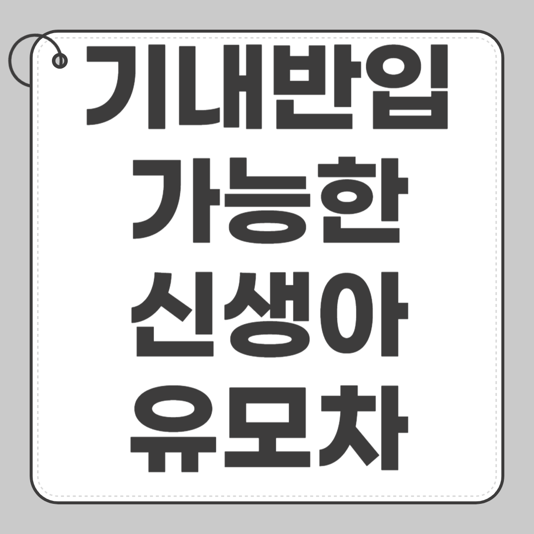 기내 반입 가능한 신생아 유모차