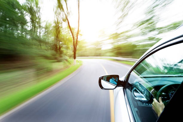 광복절-특별사면-운전면허