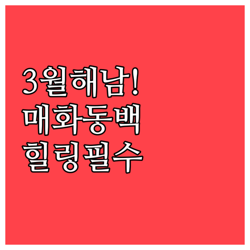 봄의 전령 매화와 동백을 마주하는 해..