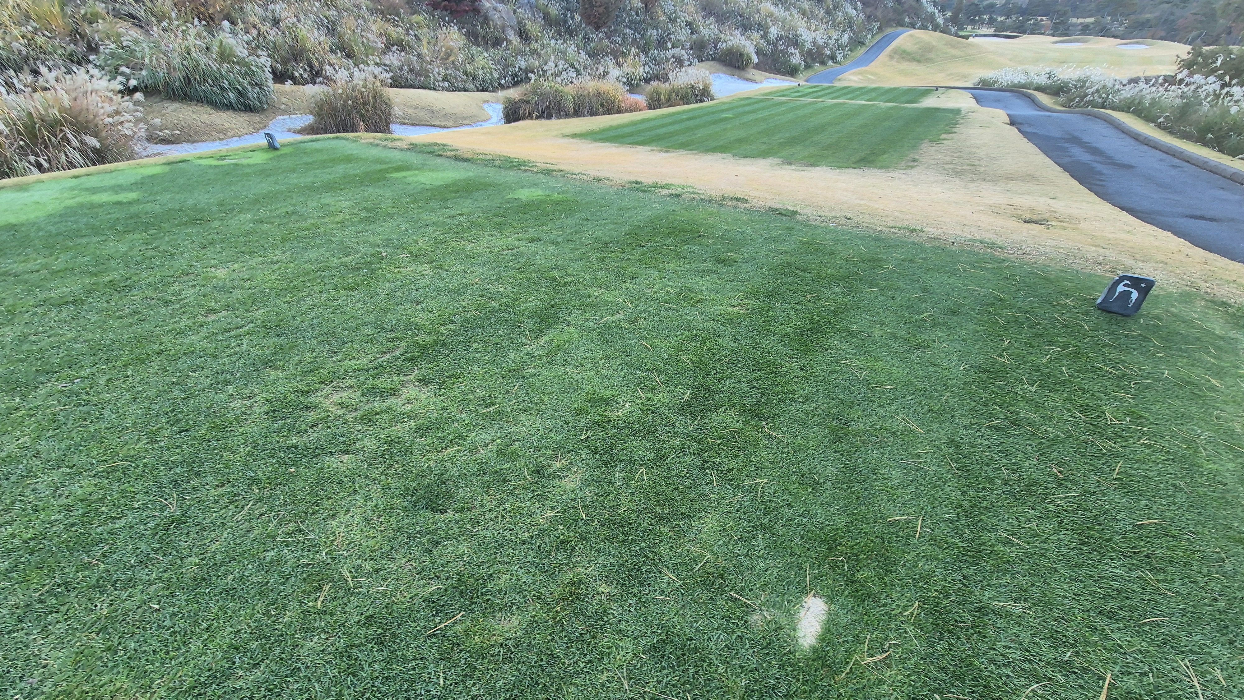 레이캐슬cc 티잉구역 상태