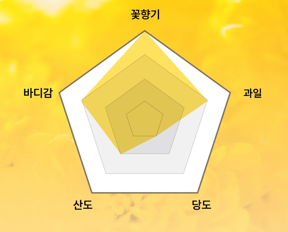 루나 가이아 지비뽀