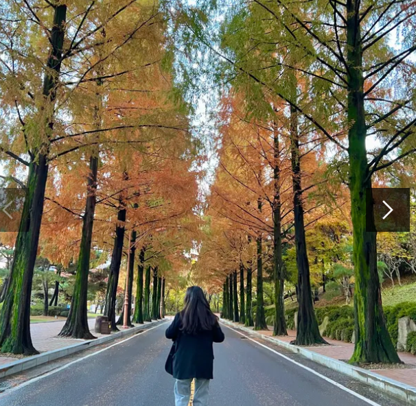 계명대학교 성서캠퍼스6