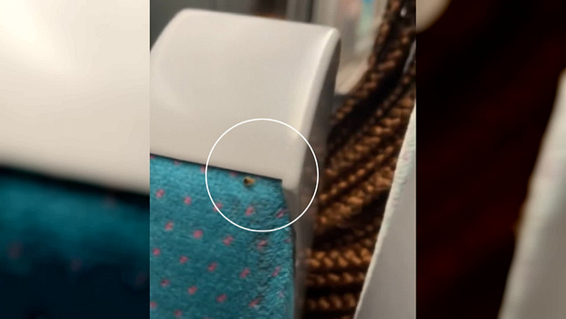 빈대가 발견되는 장소