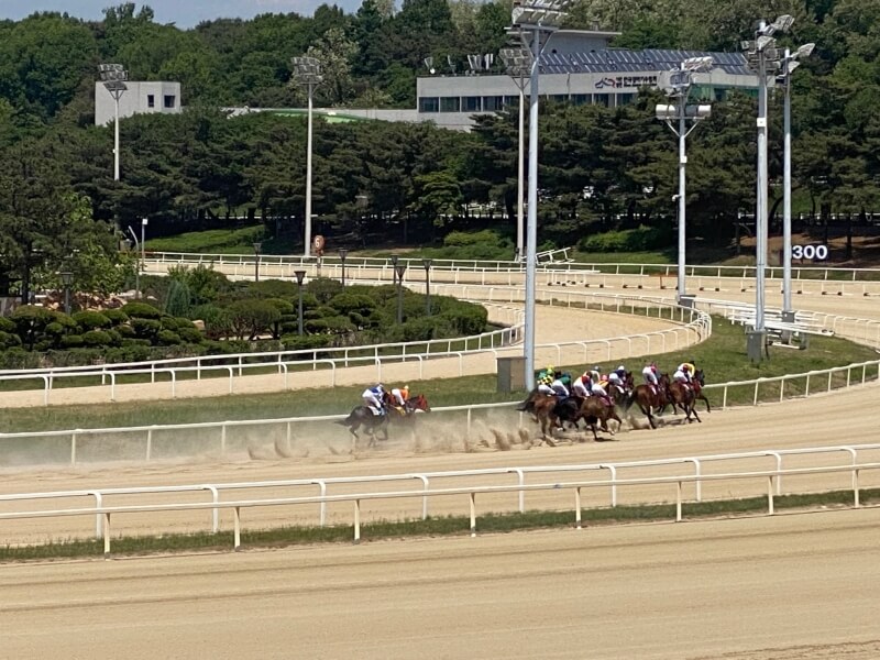 무료-피크닉이-가능한-자리에서-본-경마