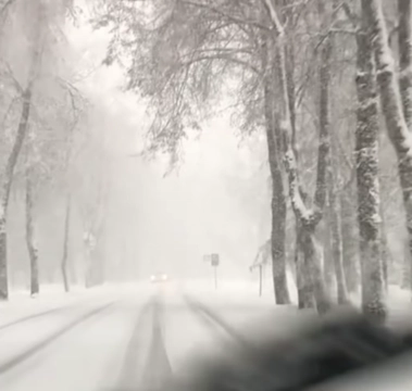 올웨더타이어 눈길 주행환경