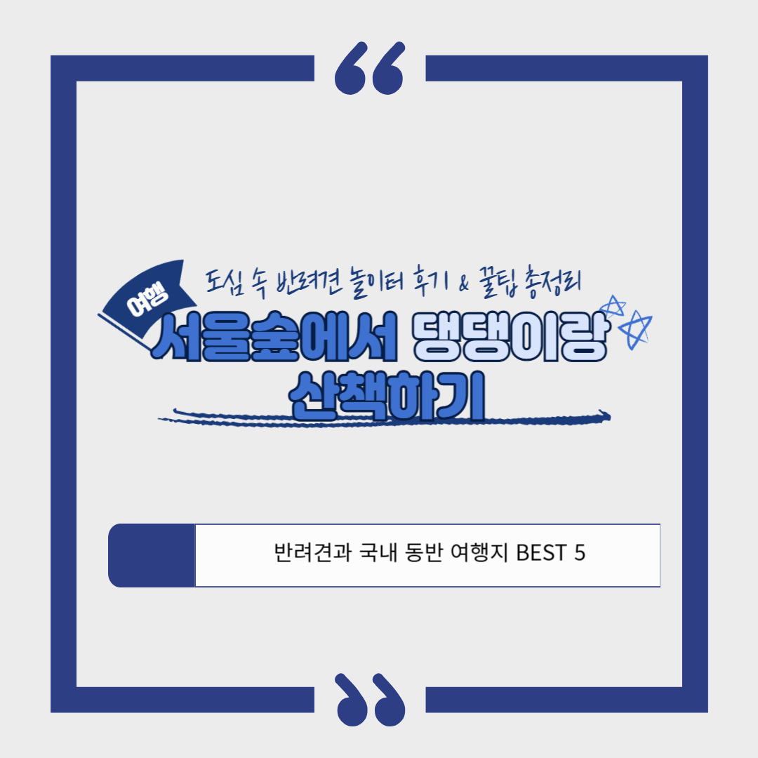 서울숲에서 댕댕이랑 산책하기🐾 도심 속 반려견 놀이터 후기 & 꿀팁 총정리