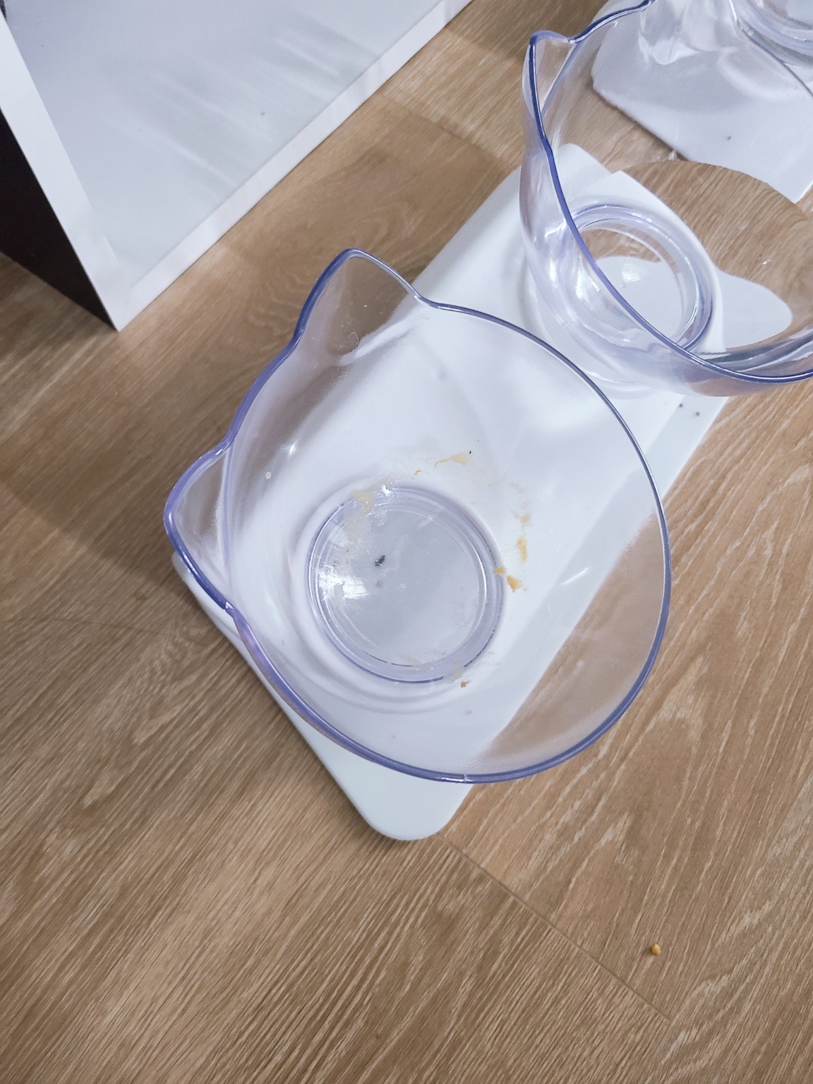 닥터바이오랄 2.0 반포+차오츄르 다 먹은 고양이 그릇