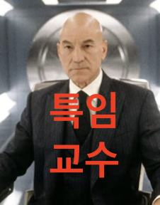 특임 교수