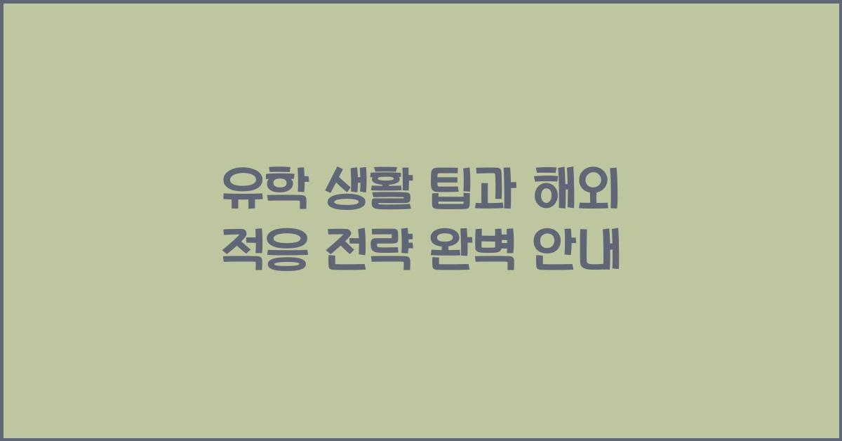 유학 생활 팁, 해외 적응 전략