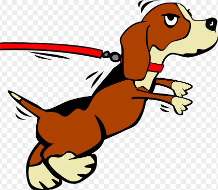 2026년 병오년 개띠 신년운세 총정리|무료로 보는 정확한 운세