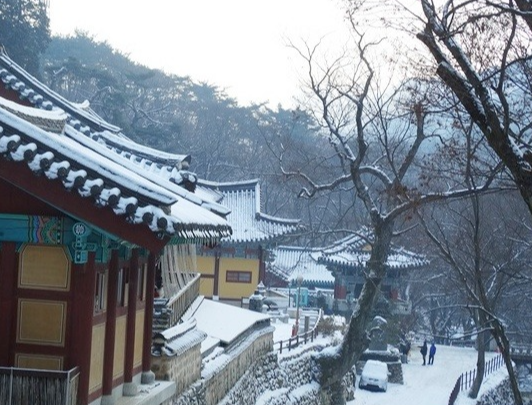 충청권 겨울에 걷기 좋은 숲길 & 트레킹 추천 BEST 7