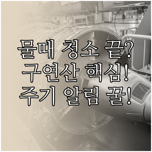 온수매트 청소 구연산 세척 주기와 스..