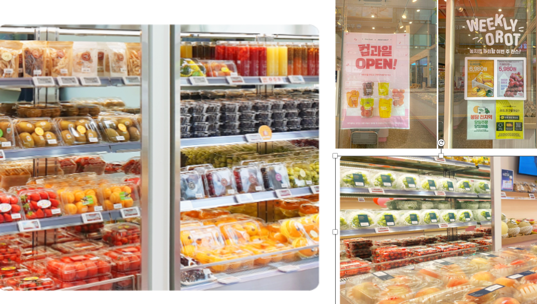 오롯 창업 비용