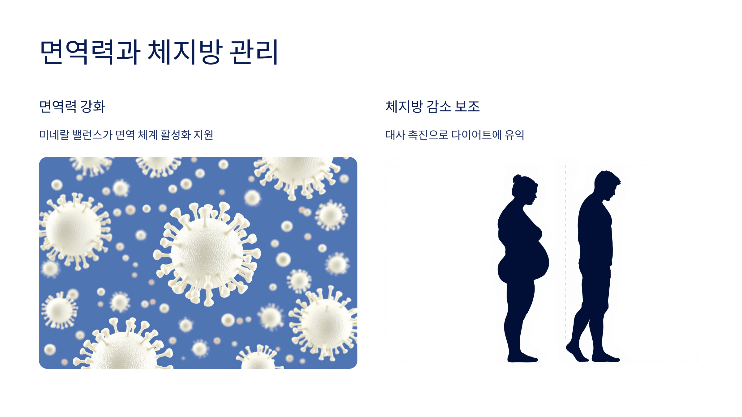 바나듐 쌀 사진입니다.