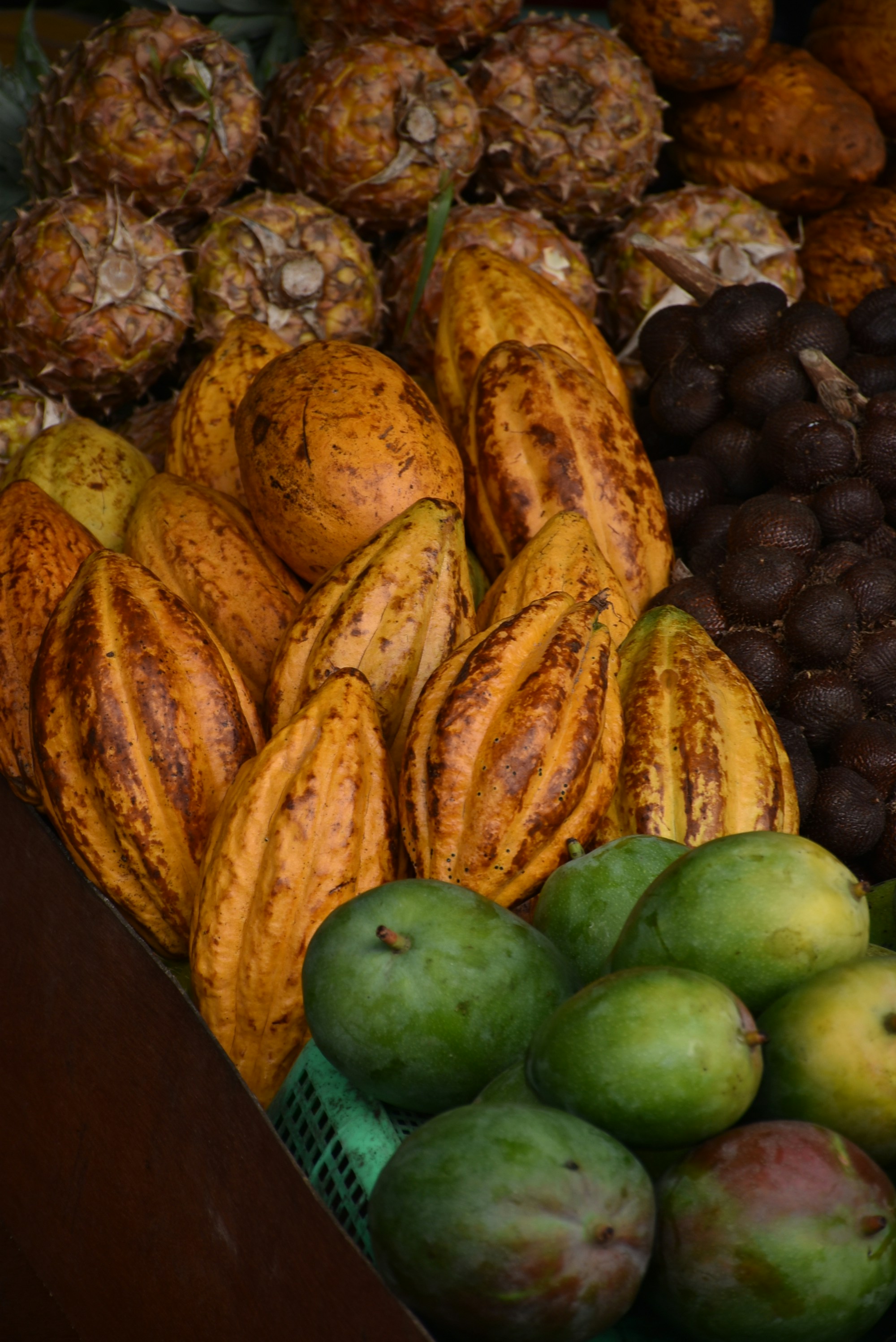 코코아 8가지 효능 및 코코아 가루 (+ 카카오와의 차이 열매 카페인)