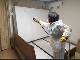 빈대 물린자국 : 빈대 퇴치법&amp;#44; 증상&amp;#44; 예방법