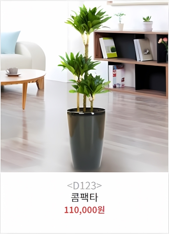 경주화분배달