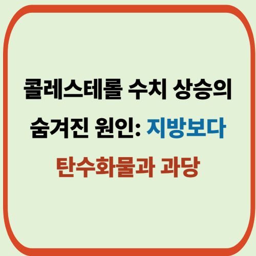 콜레스테롤 수치 상승의 숨겨진 원인: 지방보다 탄수화물과 과당