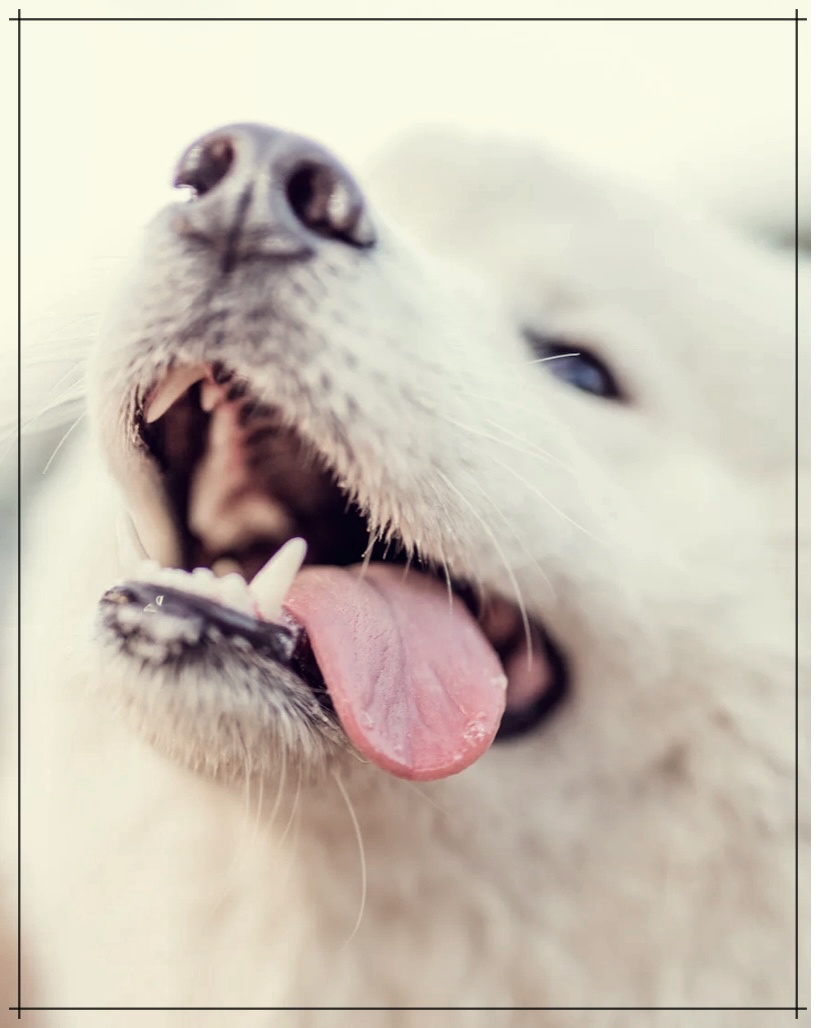 혀 따가움으로 생기는 질병 3가지.