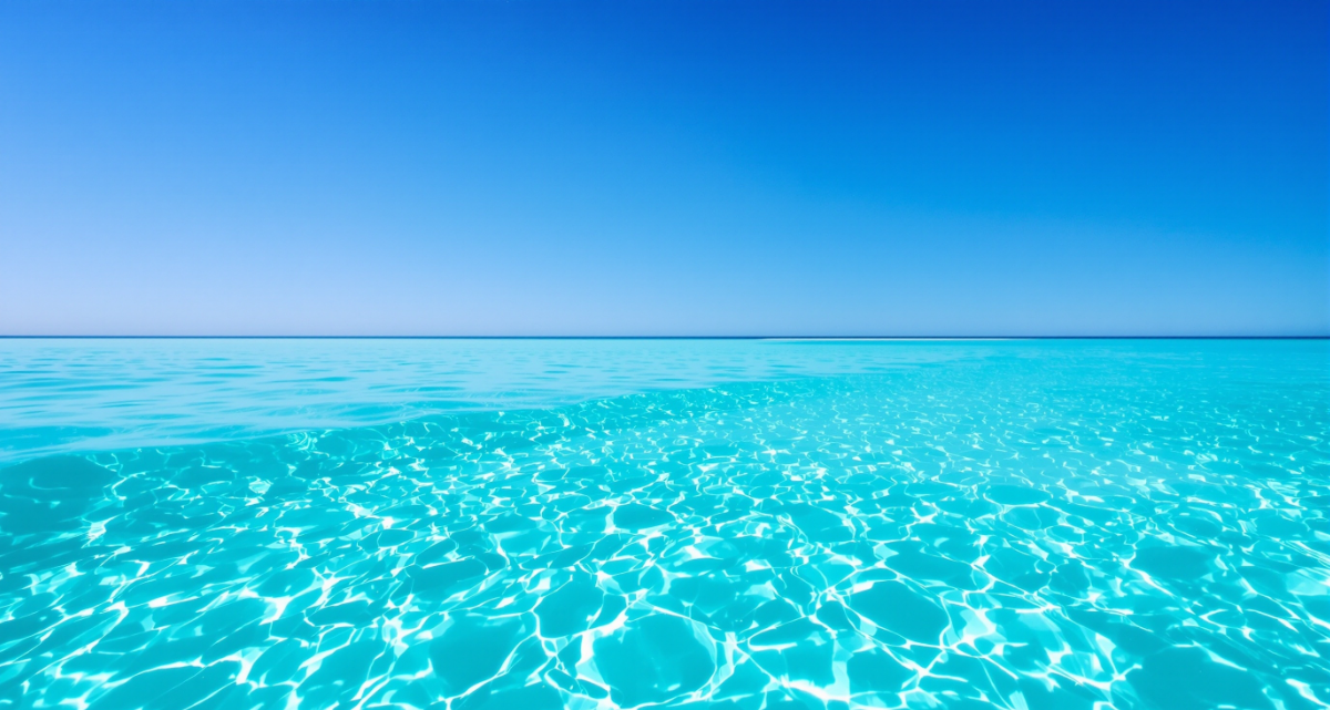 프리다이빙 관련 사진