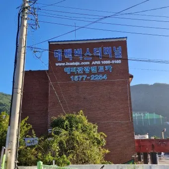 태백 고한 도계 시외버스 터미널 시간표 예매 요금_15
