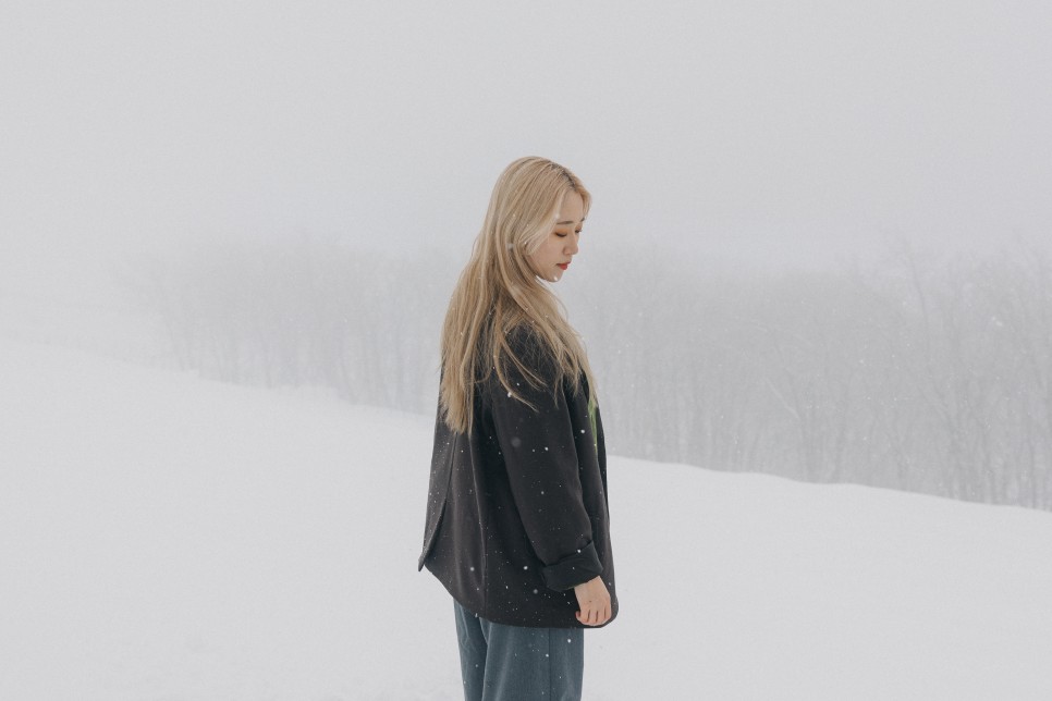 대관령 양떼목장