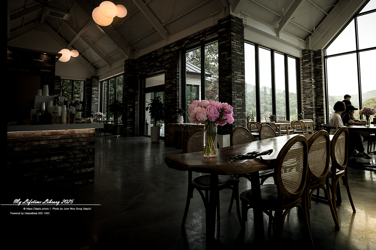 #카페 #꽃 #청주 #오창 #숲이그린정원