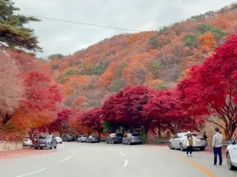 단풍구경 전국 명산 50대 이상 안전한 등산로 추천_16