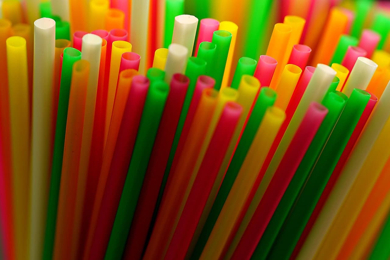 플라스틱 빨대와 종이 빨대의 환경적 차이