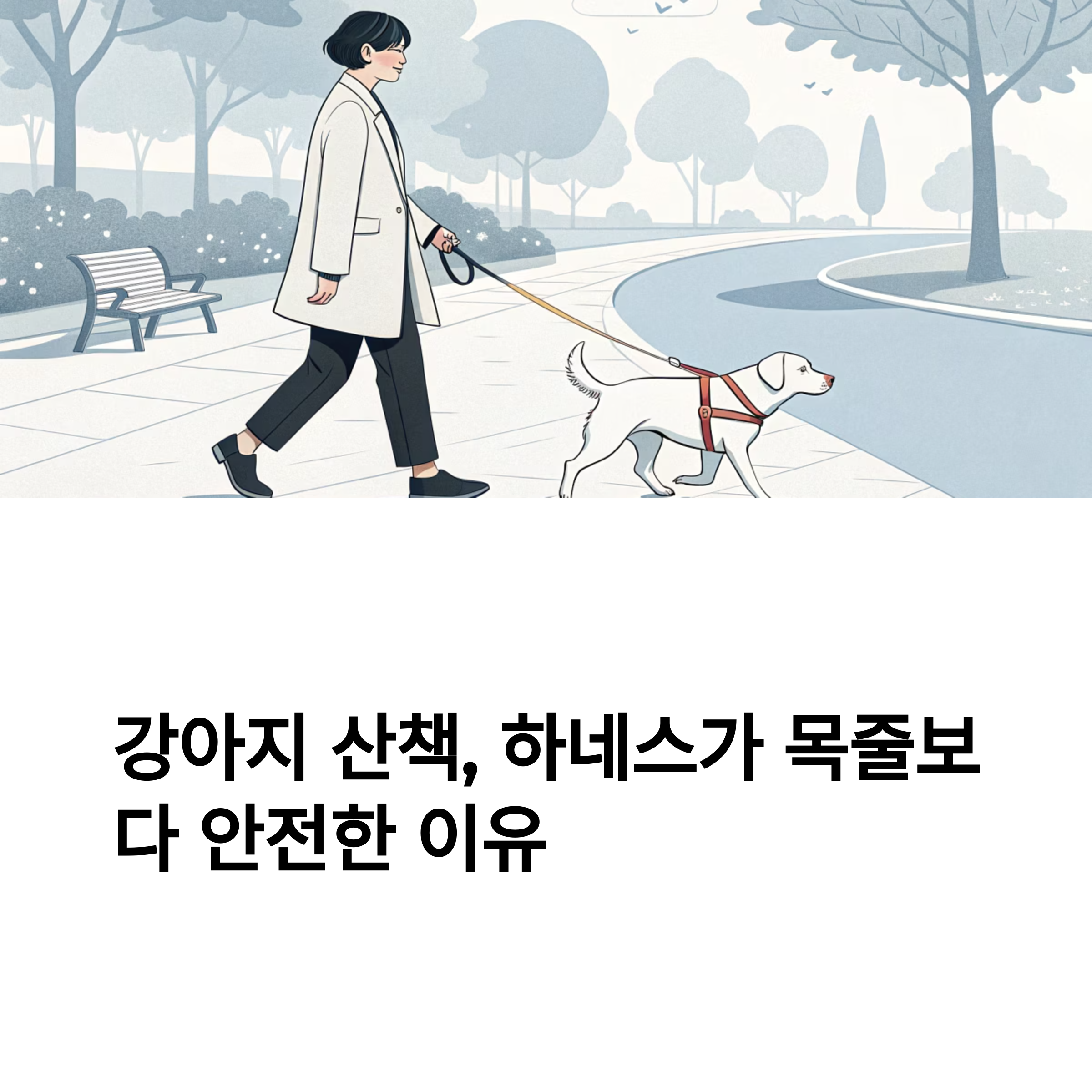 강아지 산책, 하네스가 목줄보다 안전한 이유