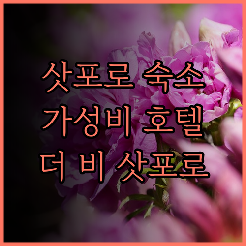 더 비 삿포로, 삿포로 중심 최고의 
