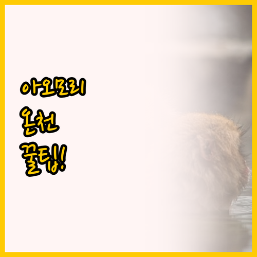 아오모리 온천 호텔 도미 인과 역세권..