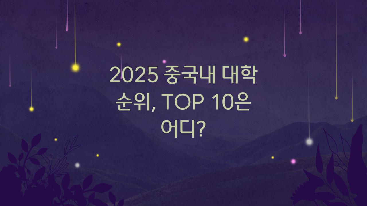 2025 중국내 대학 순위