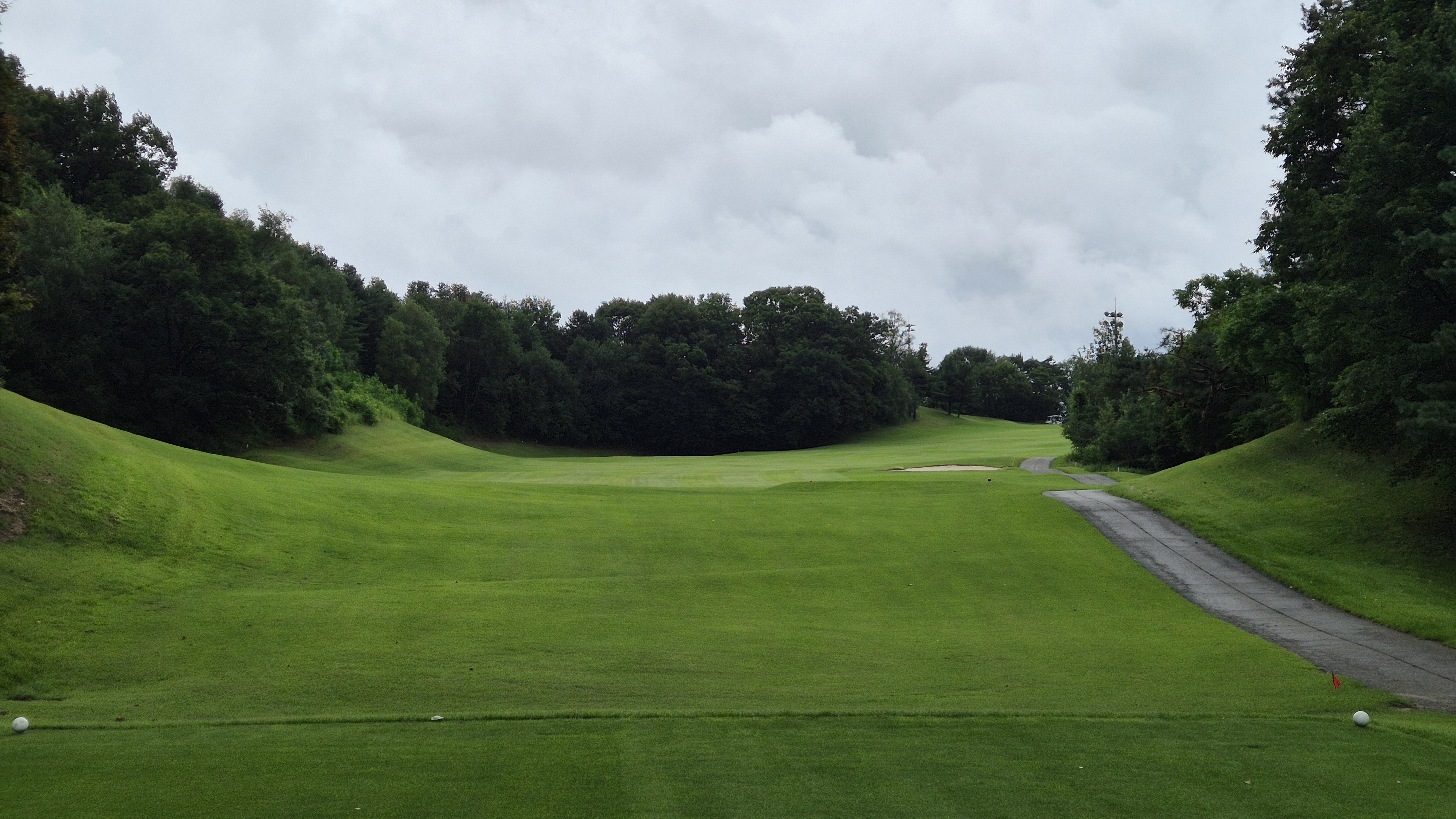 뉴서울cc 예술in-문화in 코스 사진 및 공략 정보